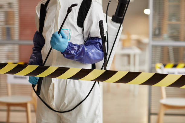 Professional Sewage Cleanup technician working in Orlando, FL